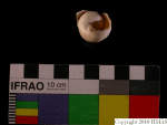 L_V22d6732 J3q341.5 T922 dM sa f257